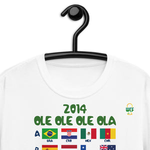 FIFA World Cup Brazil 2014 Softstyle T-Shirt - OLE OLE OLE OLA